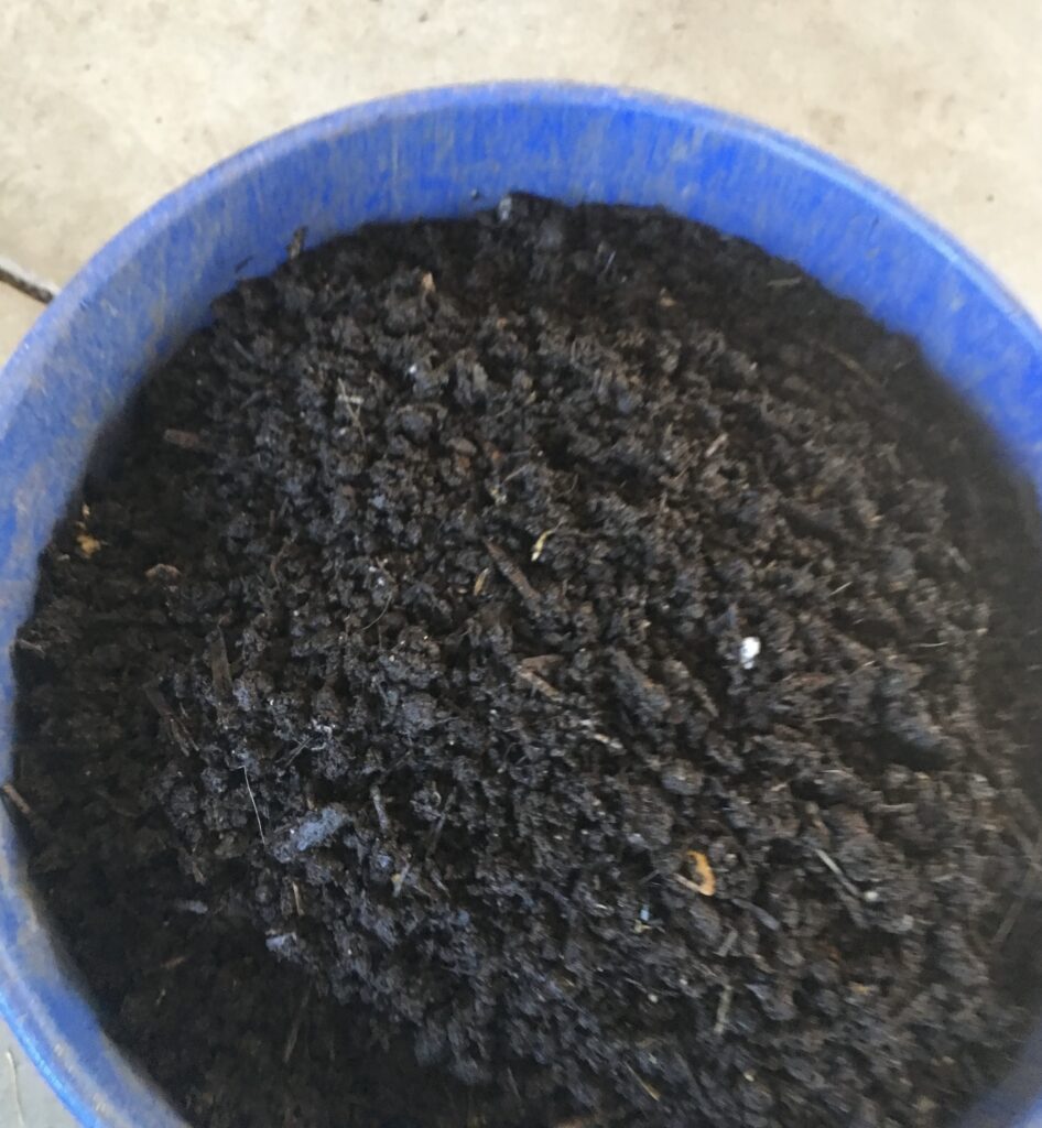 Blue container filled with dark, rich vermicompost or potting soil with a moist, crumbly texture.