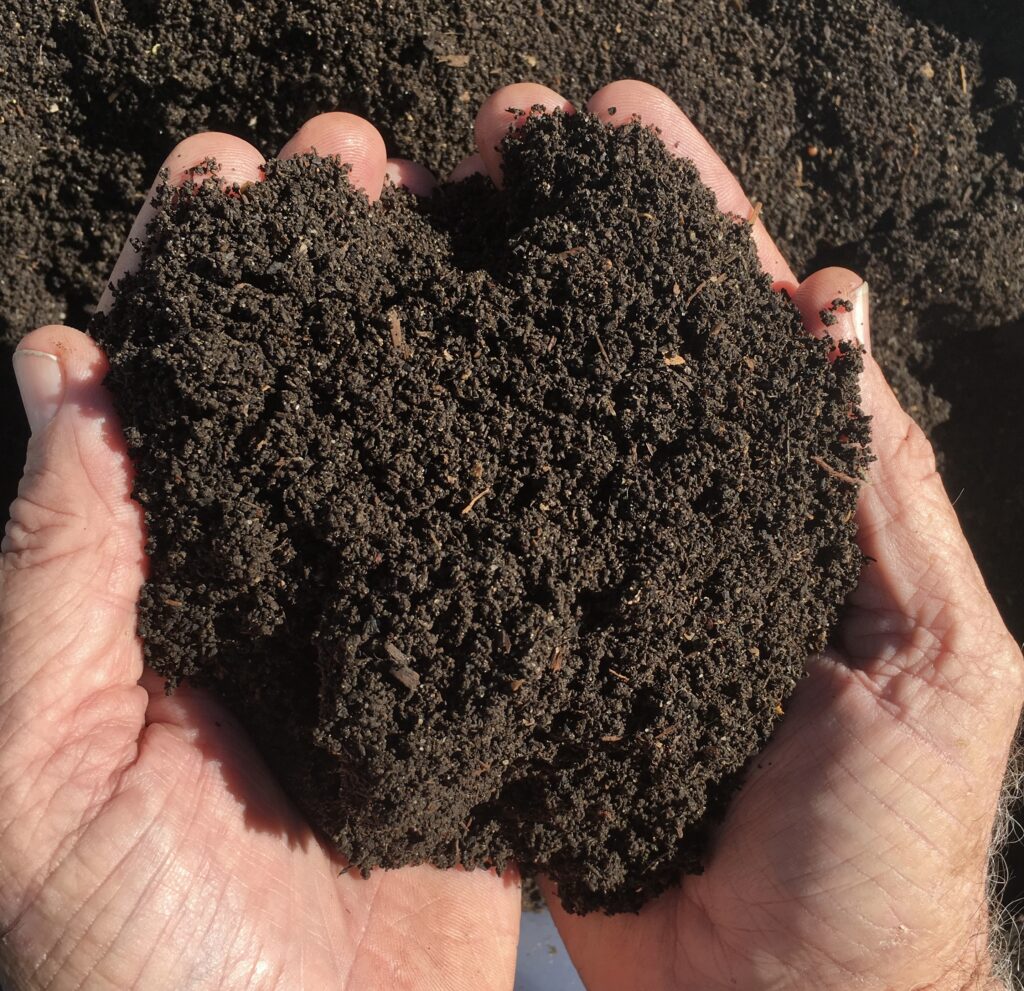 Two hands holding a mound of dark, rich compost or soil with a fine, crumbly texture in bright sunlight.
