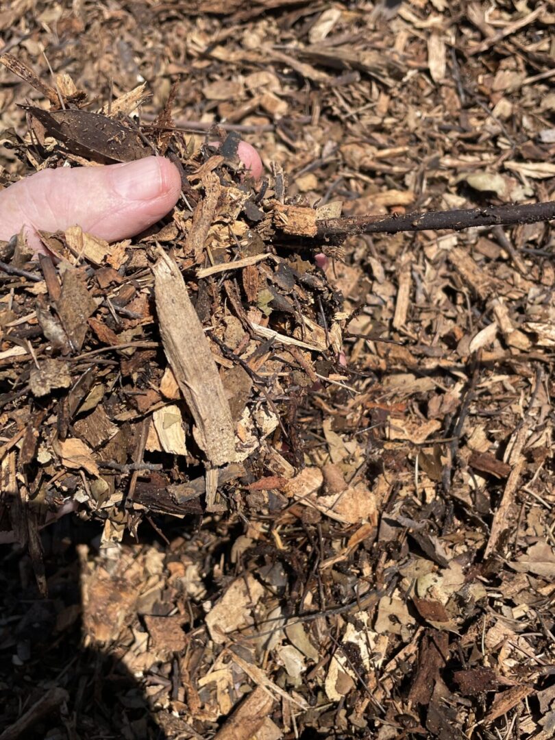 garden mulch soil layering moisture retention