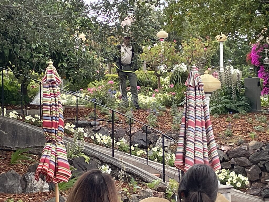 Colorful garden beds with bark mulch surrounding ornamental plants at Hearst Castle.