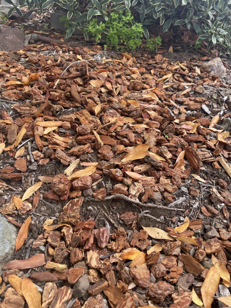 Close-up of decorative bark mulch covering a landscape bed.