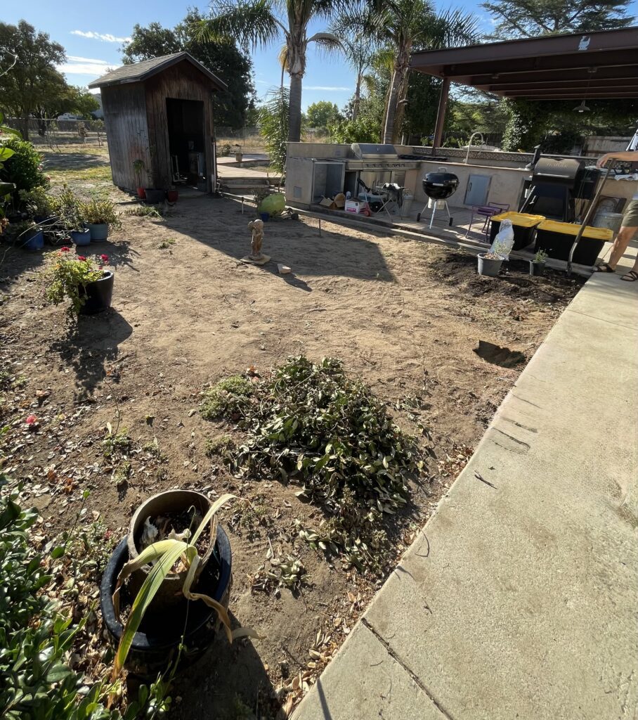 Backyard herb garden area before adding compost and worm castings