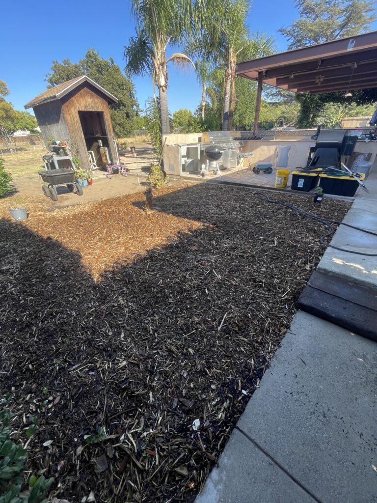 Herb garden after applying compost and worm castings beneath a layer of mulch