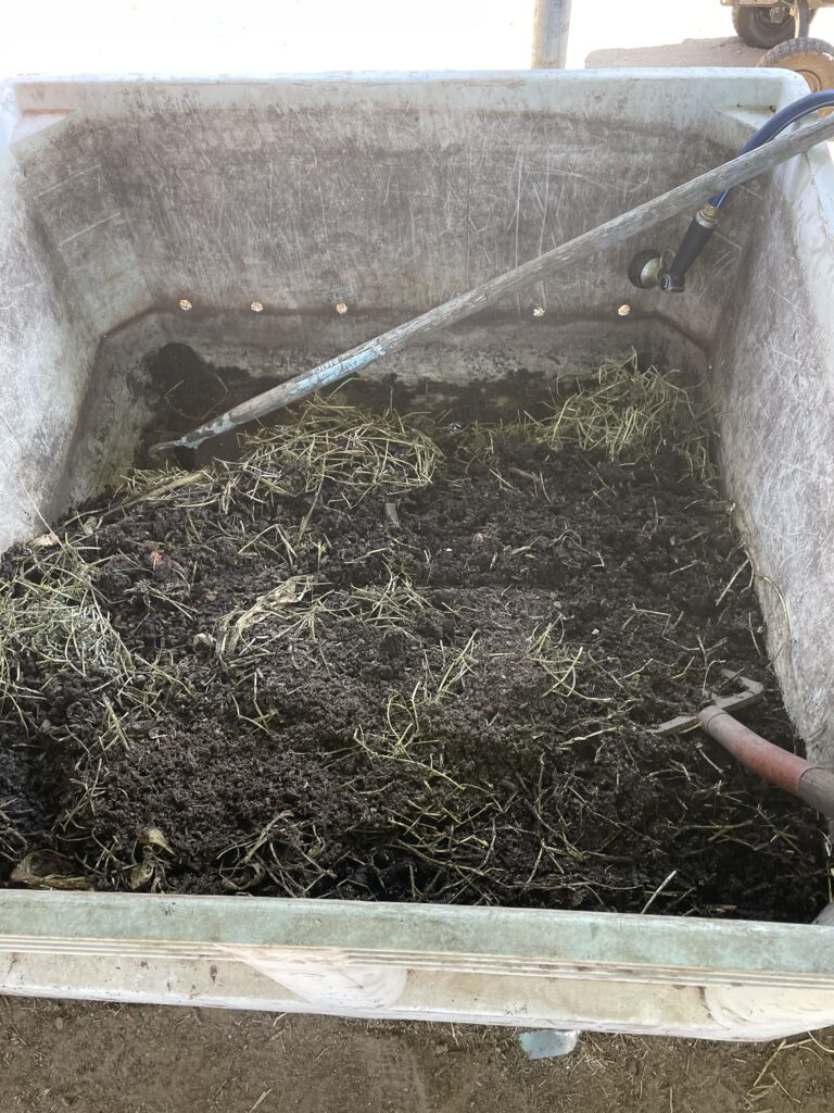 Worm breeding bed filled with moist bedding and hay at the Delta Worms wormery