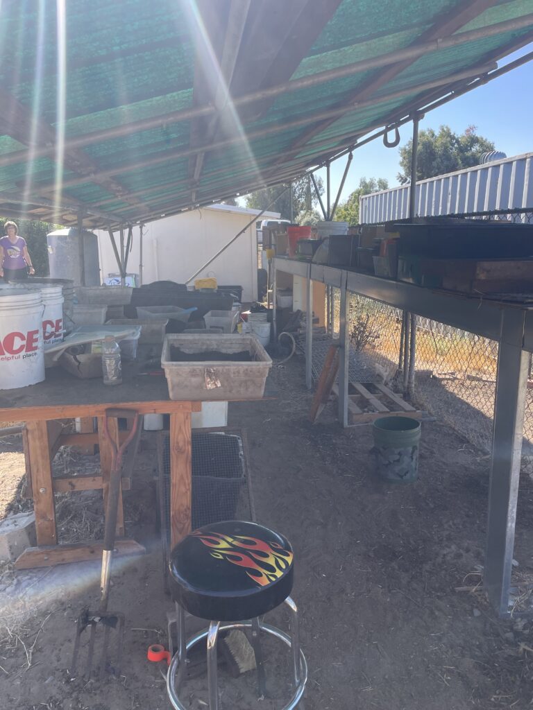 Covered Delta Worms wormery with compost tumbler, worm bins and work areas at the Oakley property