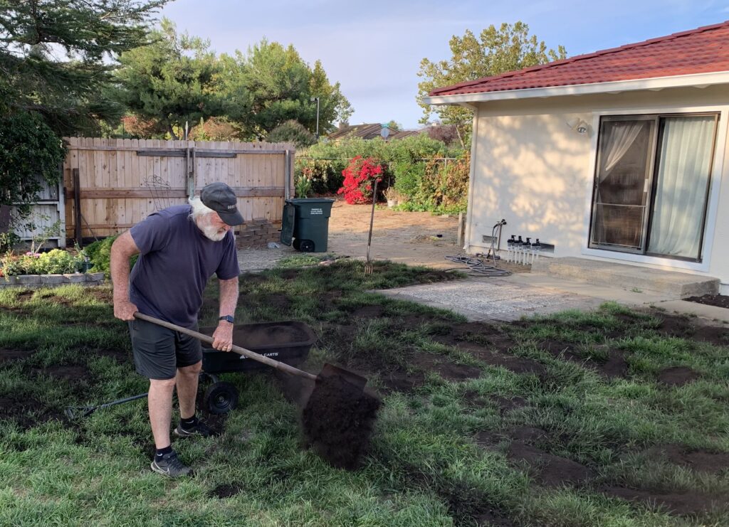 Compost being spread by shovel over an existing backyard lawn to improve the soil.