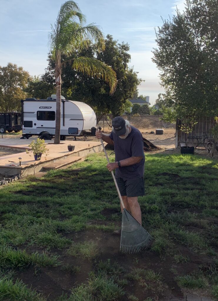 Raking Compost Into the Lawn