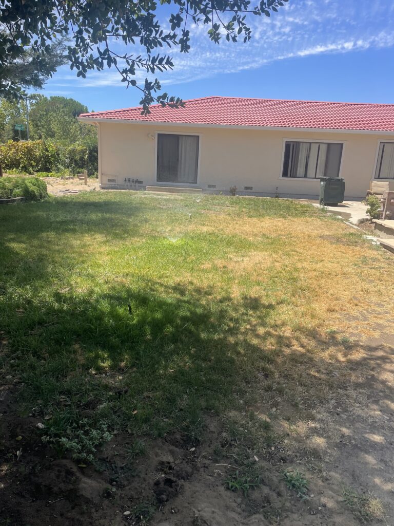 Backyard lawn with large dry and brown areas before restoration began.