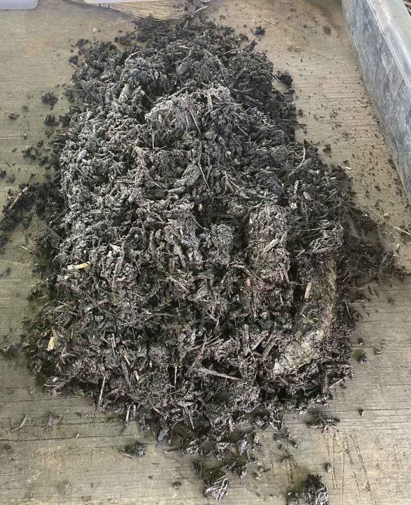 Dark, moist pre-composted food and arbor mulch ready to feed composting worms