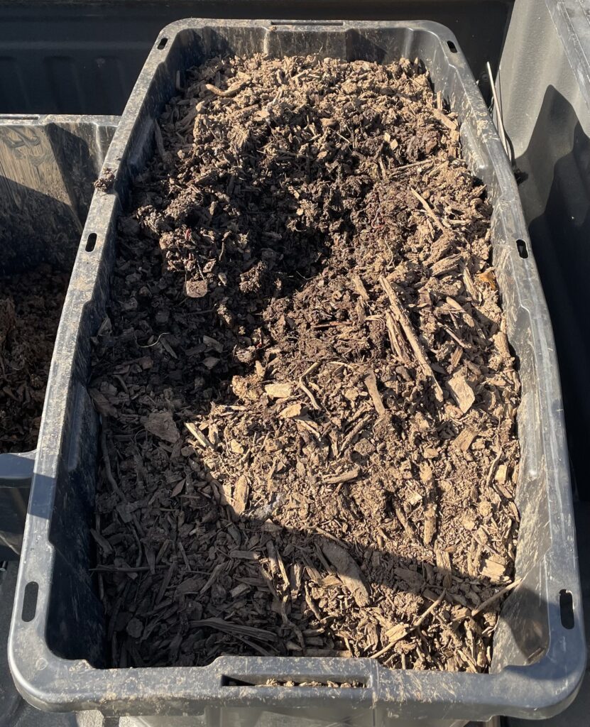 Black rectangular tray filled with coarse woody bedding and decomposing organic material.