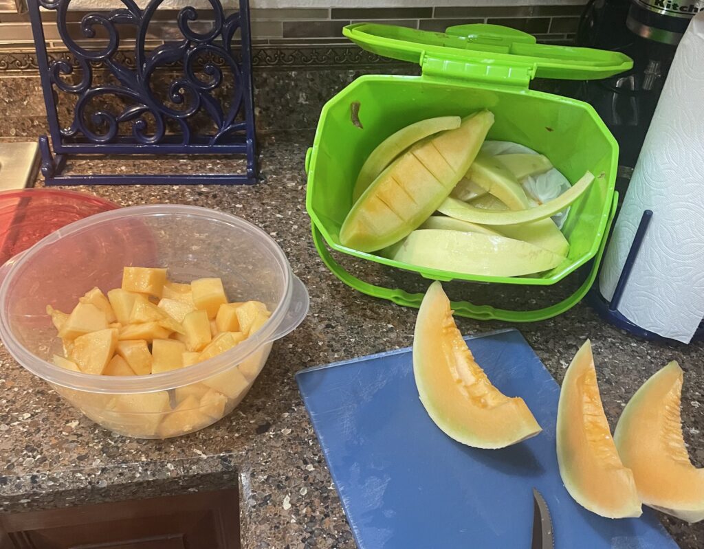Melon rinds in a green kitchen collection bin beside cut melon on a countertop.