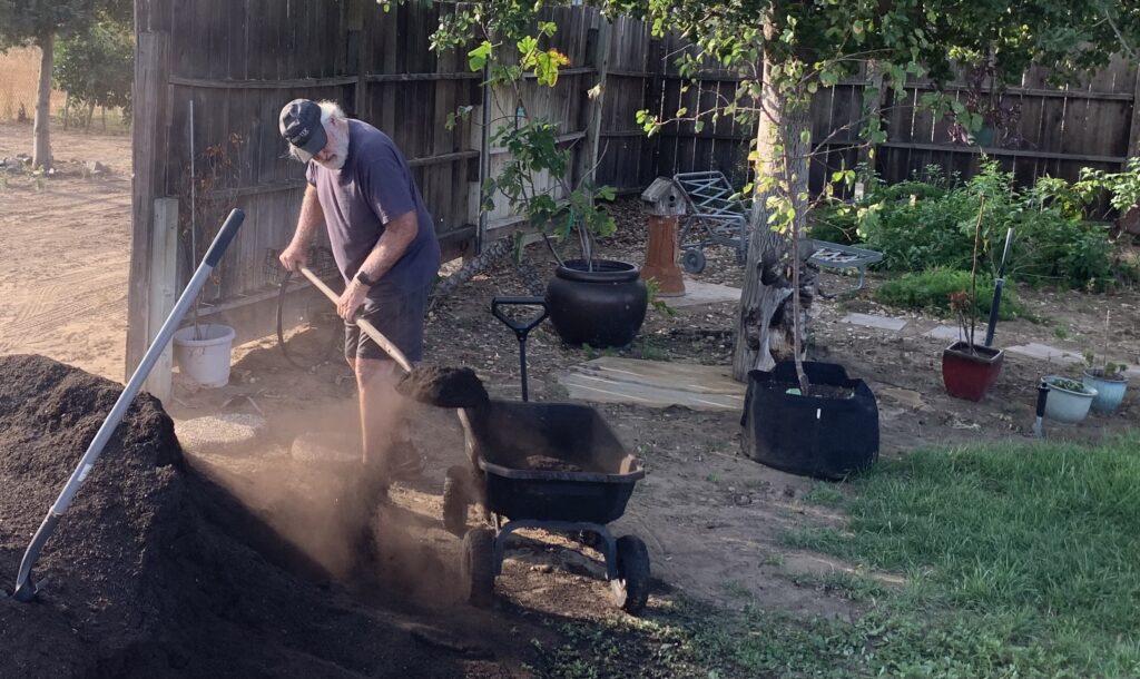Adding compost by wheelbarrow to improve the soil in the backyard flower garden