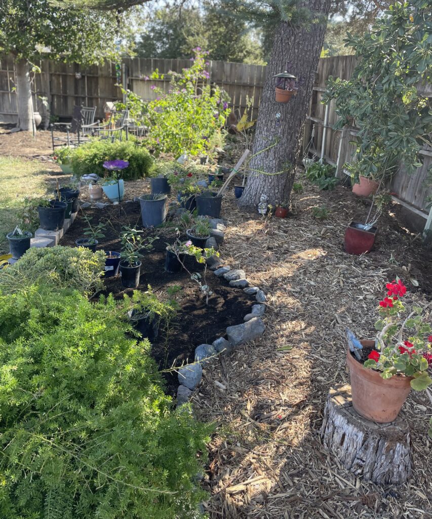 Arbor mulch pathway winding through a backyard flower garden