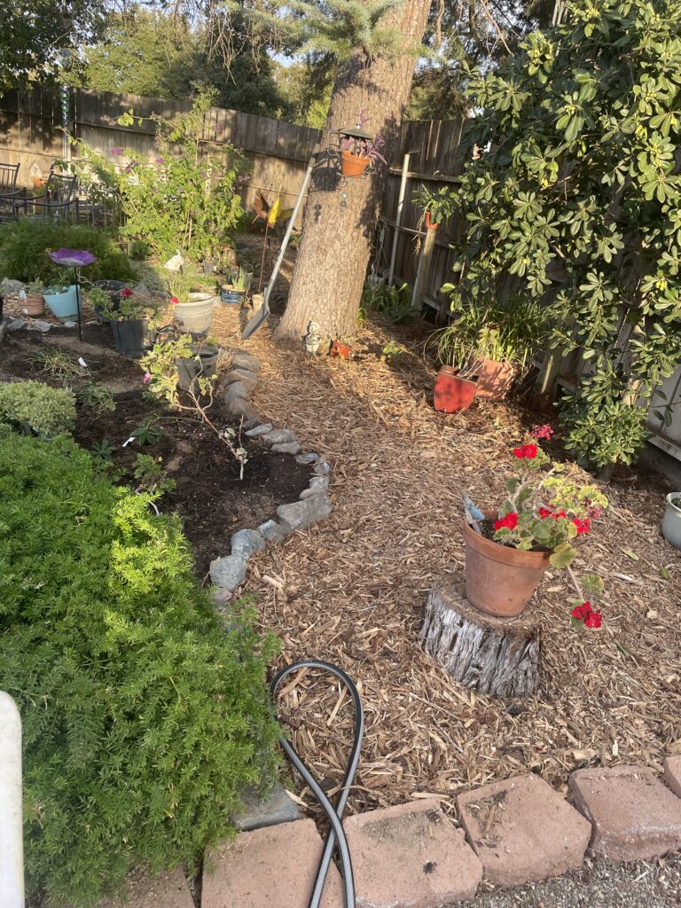 Backyard flower garden with a mulch pathway, flowering plants and newly prepared planting beds