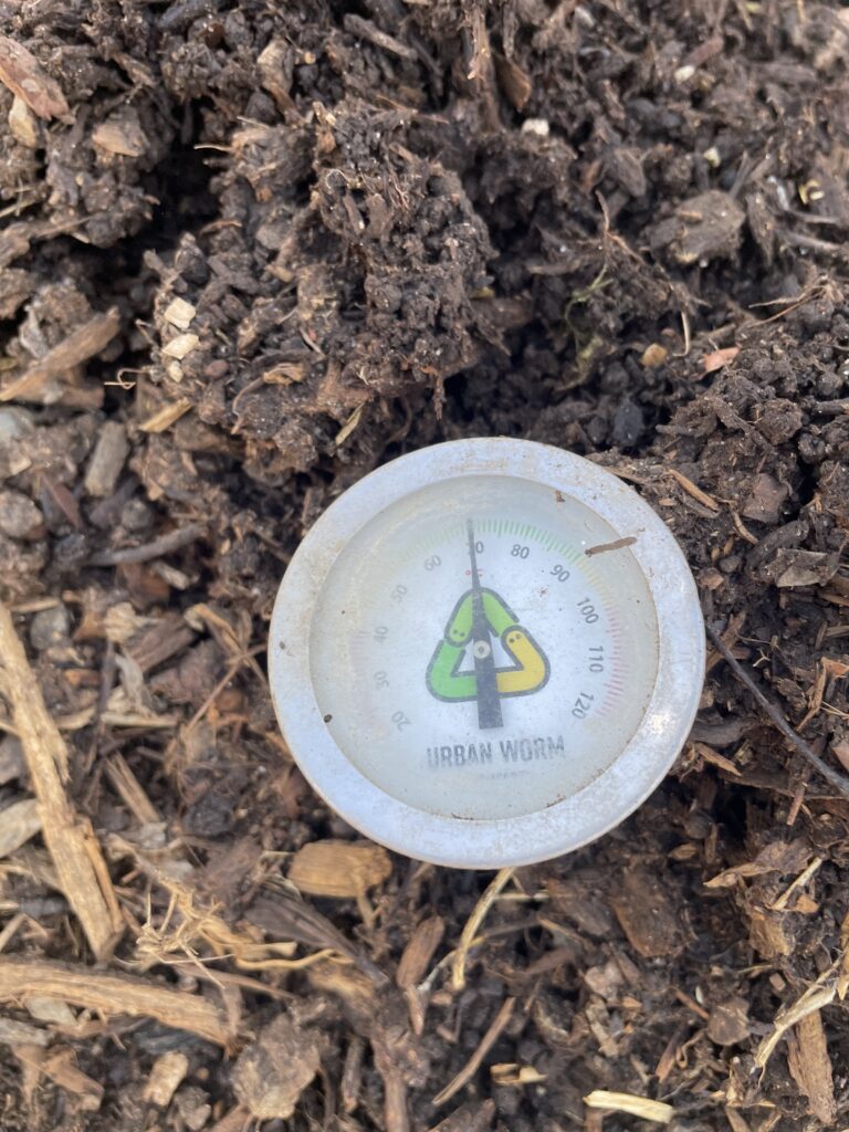 Close-up of an Urban Worm thermometer reading approximately 70°F in mulch and compost.
