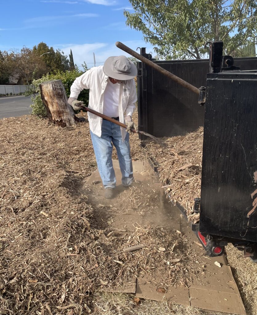 A gardener uses a shovel to move mulch from a trailer onto cardboard-covered ground.